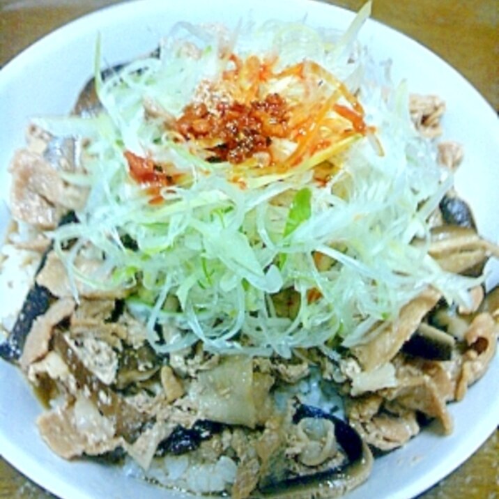 豚ネギ丼♪